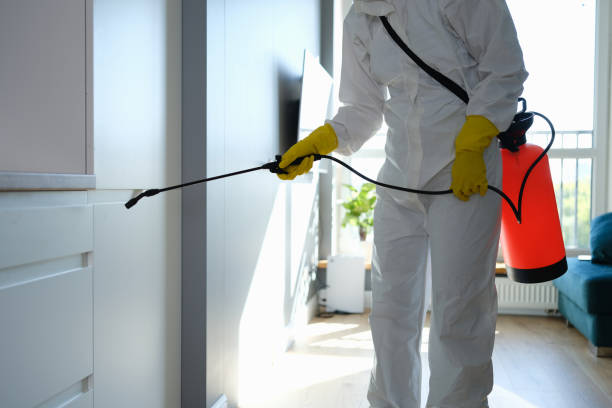 Best Crawl Space Mold Removal  in Bloomingdale, IL